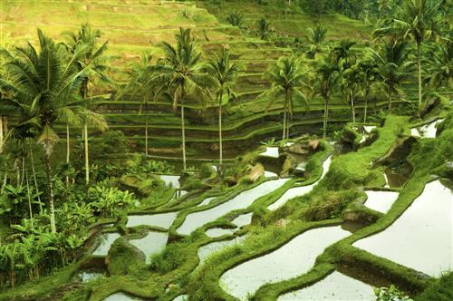 Descopera Bali si Nusa Lembongan