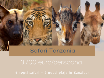 safari 4 nopti Tanzania in luna august 3700