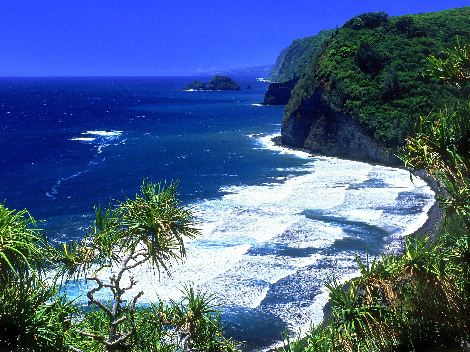 Beach Pololu-Valley Hawaii