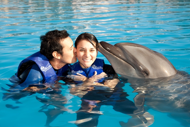 Cancun - inoata cu delfinii