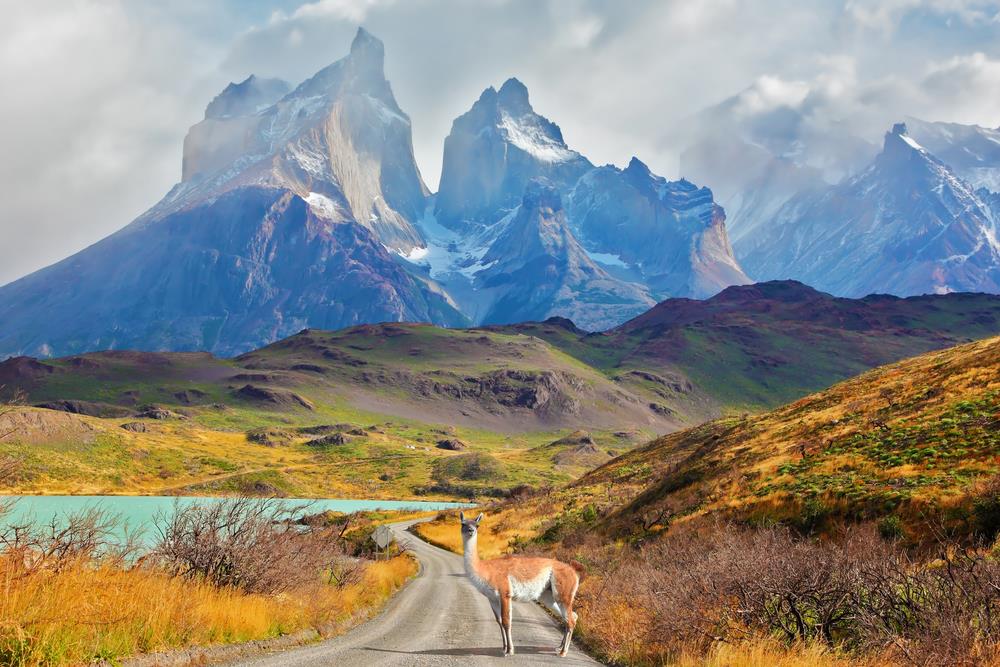 National Park Torres del Paine - Patagonia