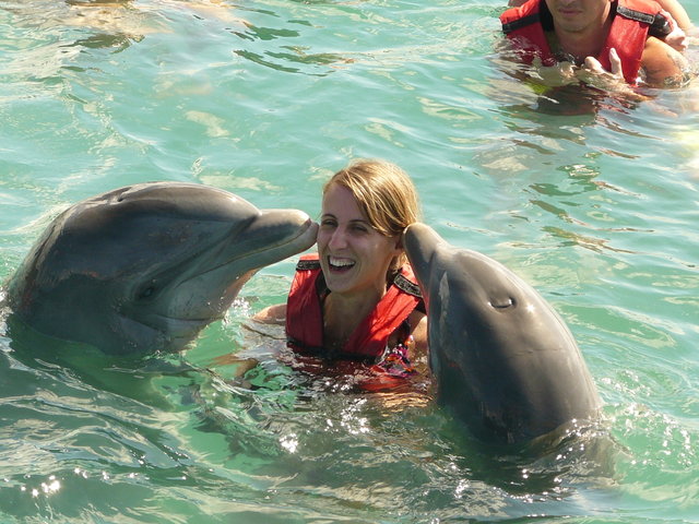 Varadero - inoata cu delfinii