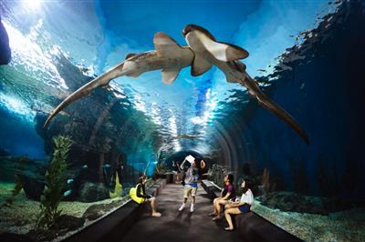 Sea Life Bangkok Ocean World