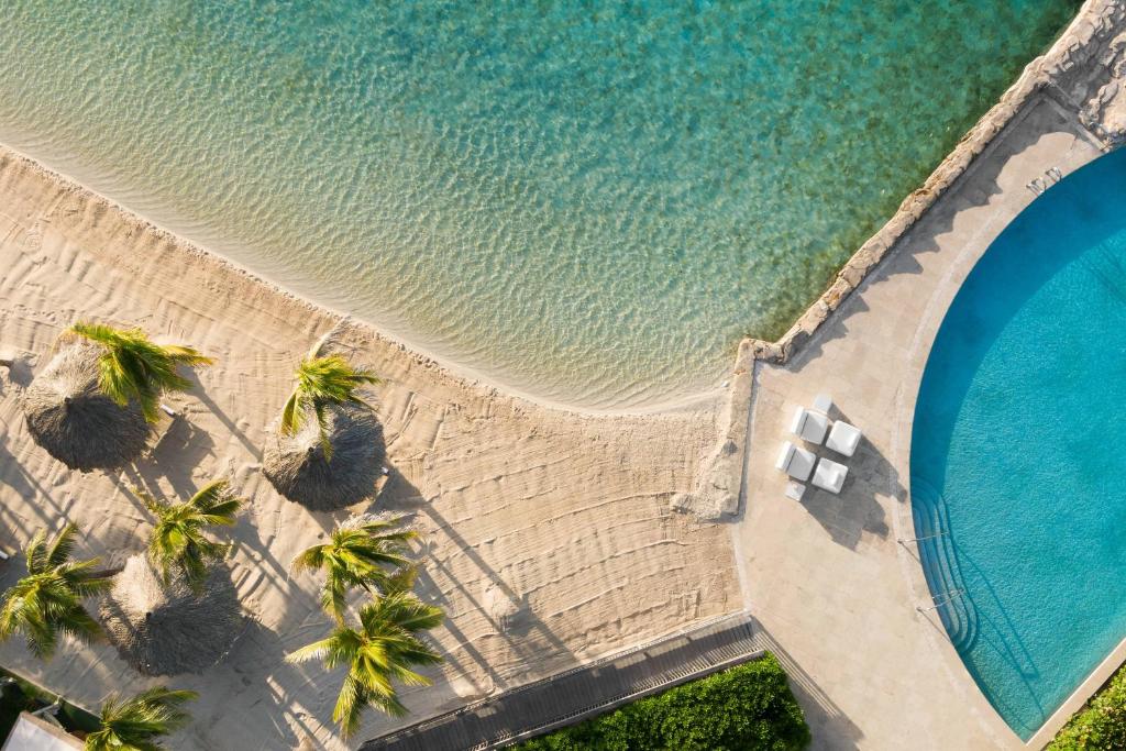 Renaissance Wind Creek Curacao Resort - Beach & Outdoor Pool