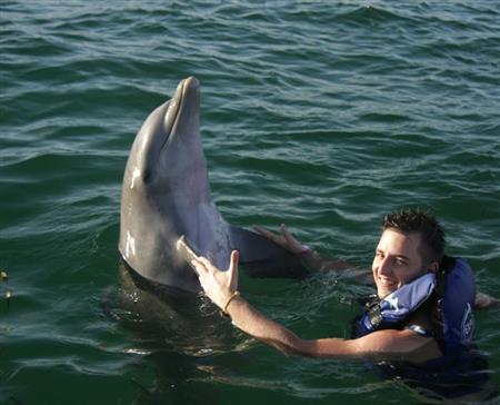 Republica Dominicana - dolphin explorer